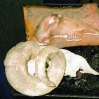 Making the Ram's Head Table