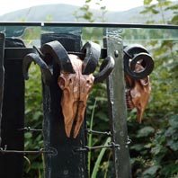 Making the Ram's Head Table