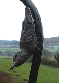Bird Feeder Nuthatch Detail