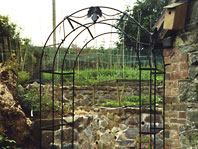 Rose Arch