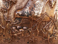Partridge With Nest